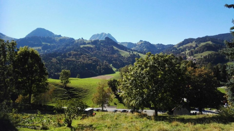 Gruyères, Cheese and Chocolate: Private Guided Tour - Optional Activities