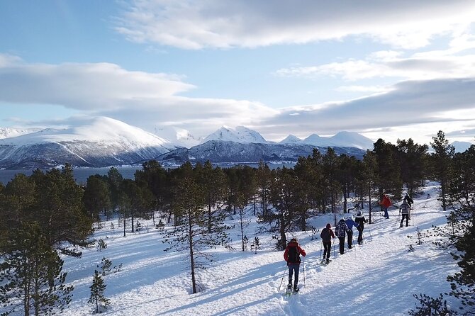 Guided Easy Snowshoeing With a Visit to Local Café - Safety Considerations