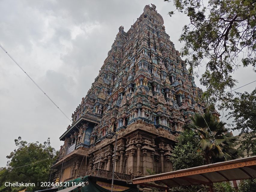 Guided Tour of Majestic Meenakshi Temple - Nearby Attractions to Explore