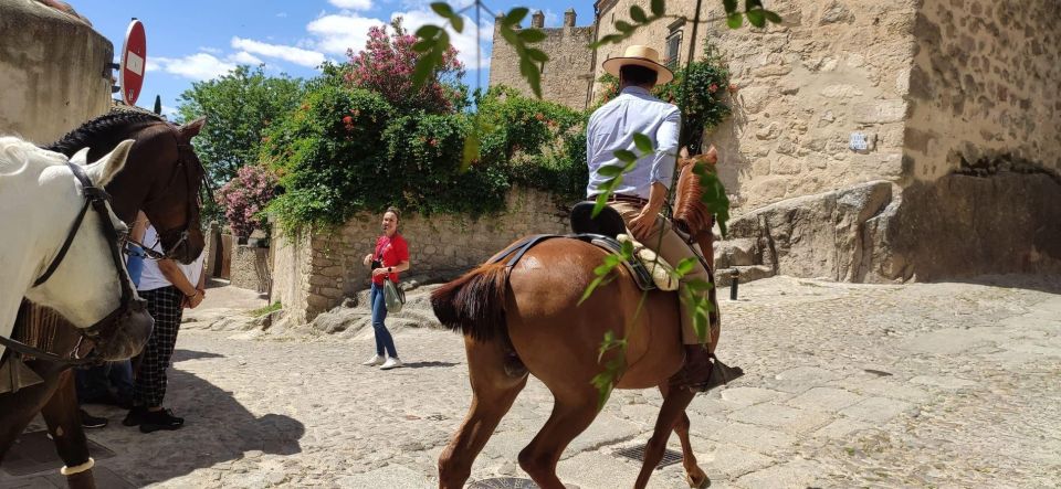 Guided Tour of Medieval Trujillo - Customer Feedback