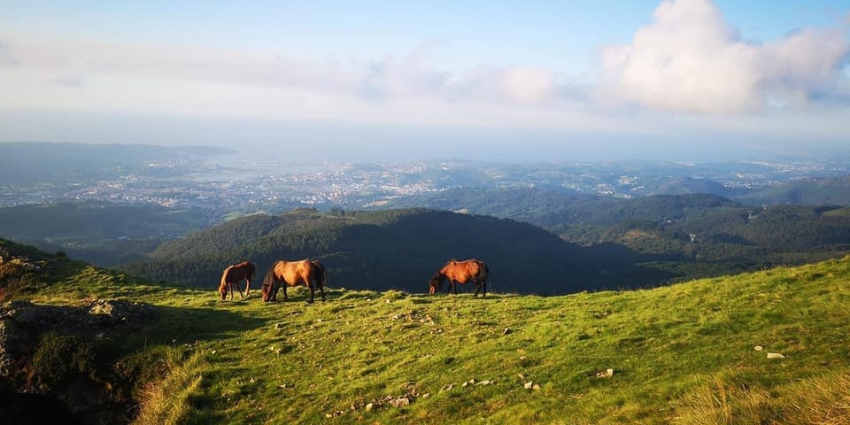 Guided Tour of the 5 Most Beautiful Towns in Basque Country - Transportation and Logistics