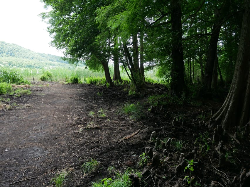 Guided Tour Through the History of the Monticchio Lakes - Meeting Point and Languages