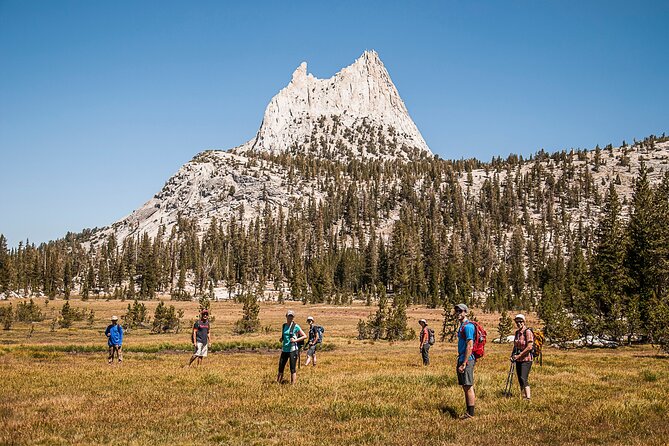 Guided Yosemite Hiking Excursion - Customer Feedback Highlights