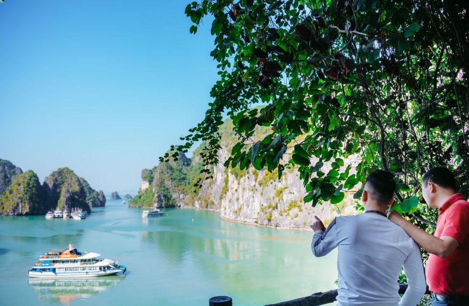 Ha Long Bay 5 Stars Luxury Cruise Day Trip by Limousine Bus - Travel Tips