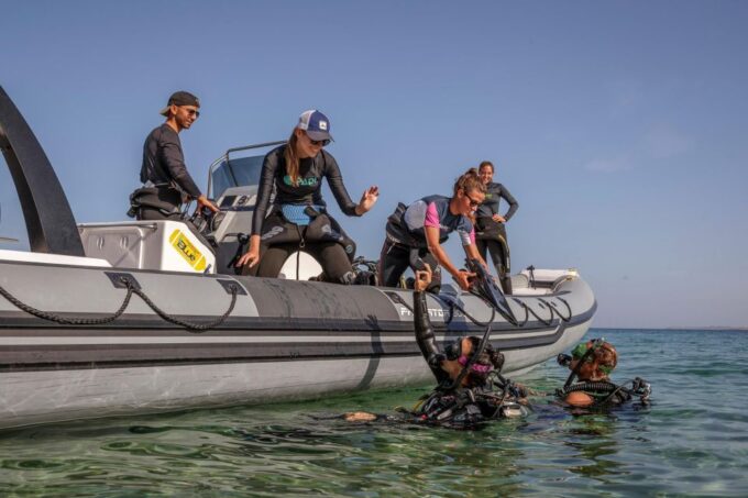 Half Day Dive Trip for Certified Divers - Customer Reviews and Ratings