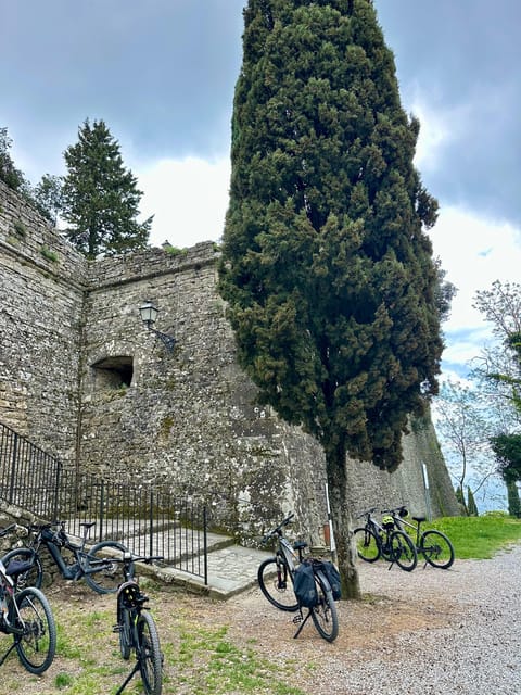 Half Day E-Bike Tour to Highlights Around Cortona - Pricing and Discounts