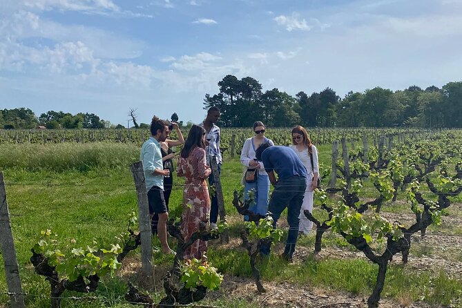 Half-Day Guided Wine Tasting Tour in Bordeaux Vineyards - Meeting Point and Start Time