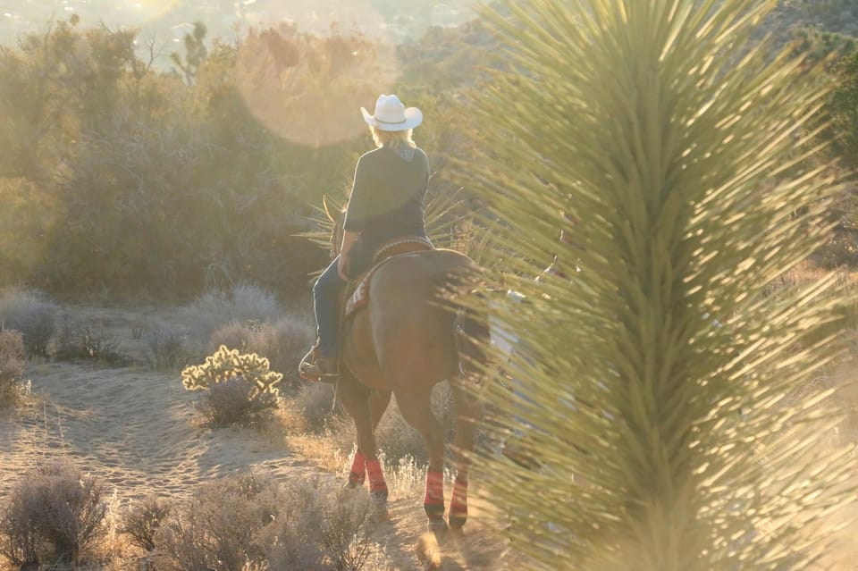 Half Day Horseback Riding Experience Through Joshua Tree - Important Information