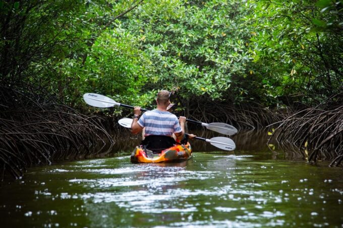 Half Day Kayak Guided Tour to the Green Mangroves Forest - Accessibility Considerations