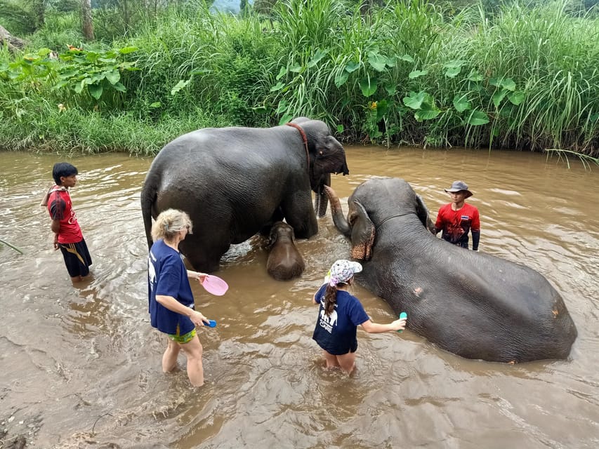 Half-Day Visit at CHIANGMAI ELEPHANT CARE Program (8am-1pm) - Inclusions and Provided Items