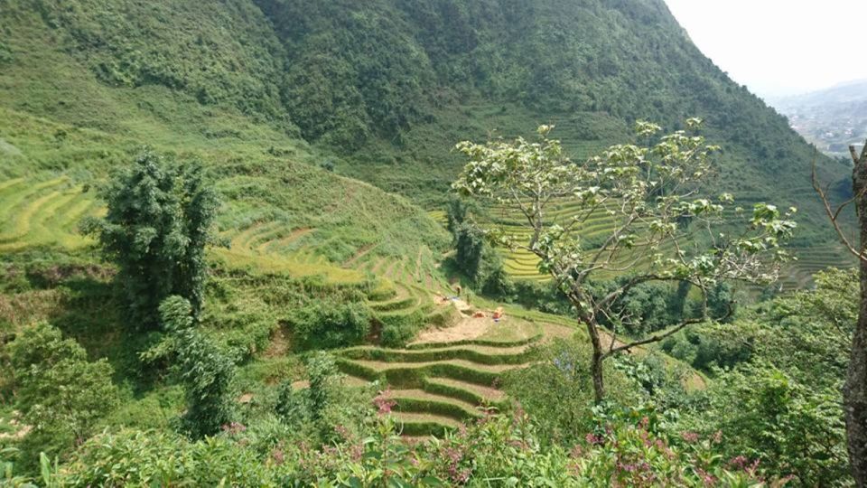 Hanoi: 2-Day Ta Van & Sapa Trek With Local Guide & Homestay - Trekking Preparation