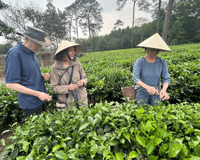 Hanoi Eco Tour: Ba Vi National Park Wonders & Tea Plantation - Customer Reviews