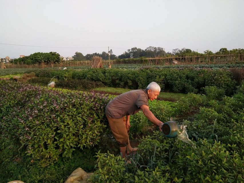 Hanoi Farm Tour and Cooking Class With Local Family - Frequently Asked Questions