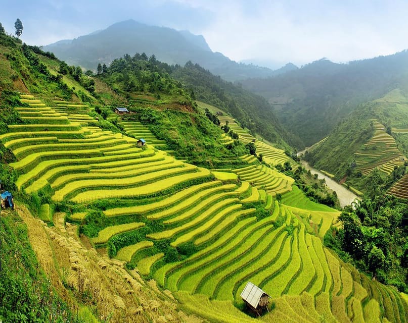 Hanoi: Sapa Trekking 2 Days 1 Night Overnight in Village - Live Guide and Language