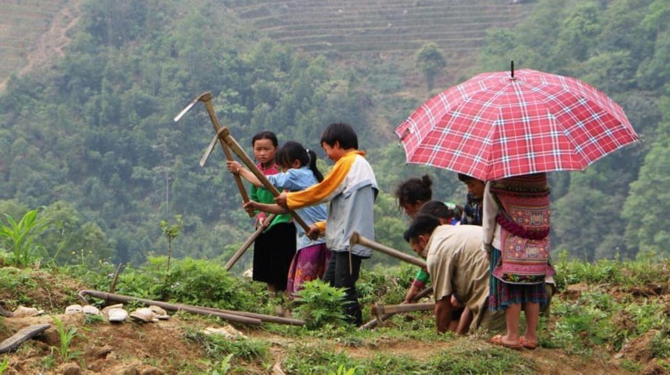 Hanoi: Sapa Trekking 2 Days 1 Night - VIP Bus From Hanoi - Inclusions