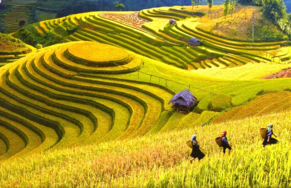 Hanoi to Sapa: Luxury Car Transfer - Included Services and Amenities