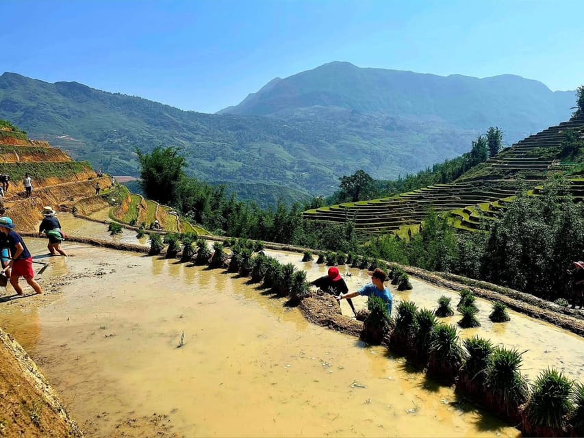 Hanoi: Transfer to or From Sapa by a VIP Sleeper Bus - Tips for a Smooth Journey