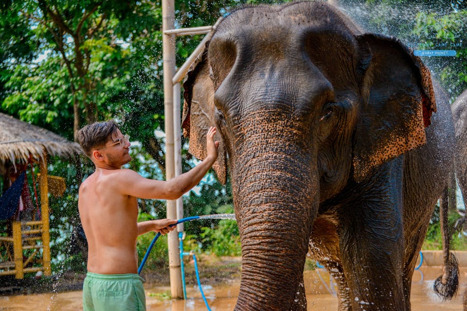 Happy Hour Shower With Elephant at Seaview Point - Meeting Point