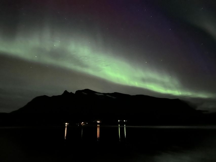 Harstad/Narvik/Tjeldsund: Northern Lights Sightseeing by Car - Booking Details