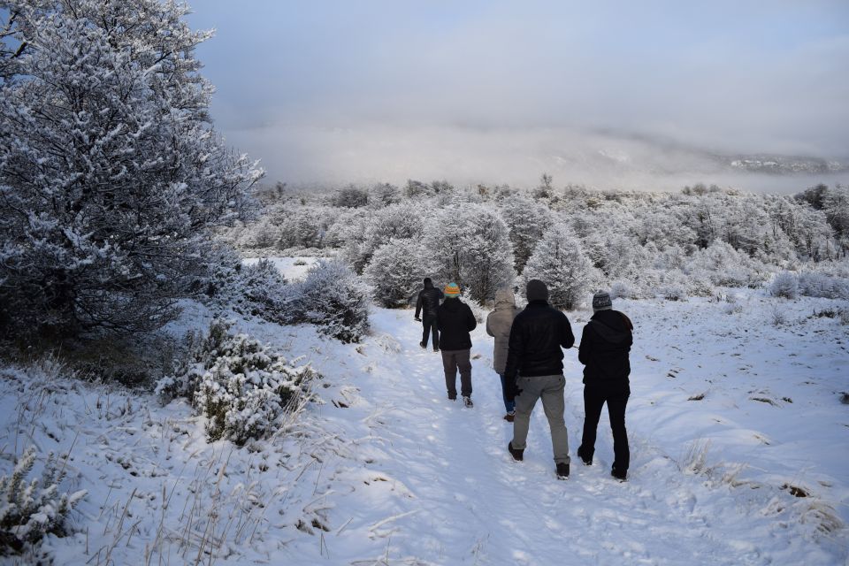 HD Tierra Del Fuego National Park (No Train) - Accessibility Features