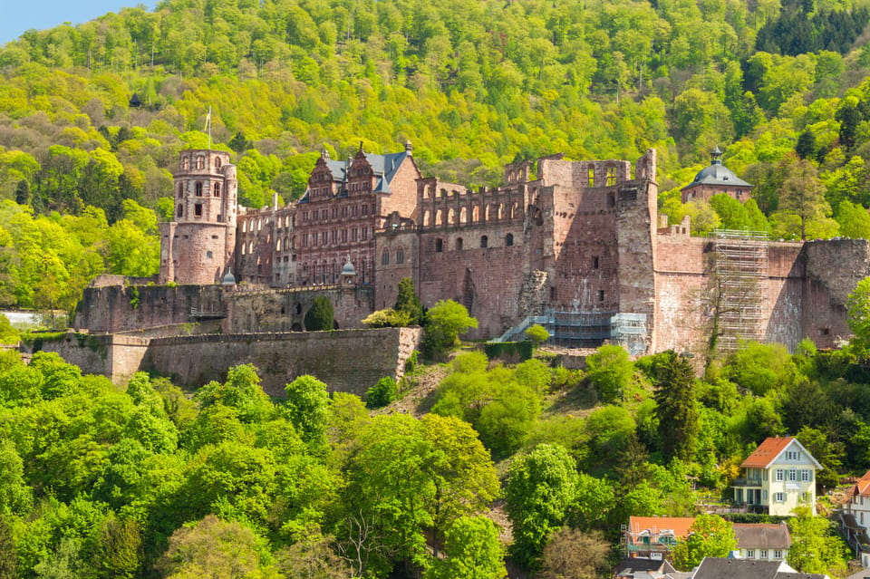 Heidelberg and Rhine Combination Tour From Frankfurt - Meeting Point and Check-in