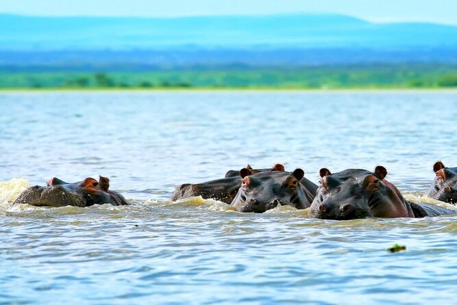 Hells Gate National Park Private Bike Tour From Nairobi - Booking Information and Prices