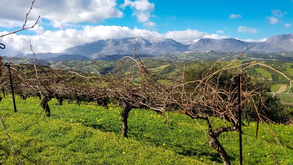 Heraklion: Cretan Wine Tasting Tour & Gourmet Lunch - Important Information