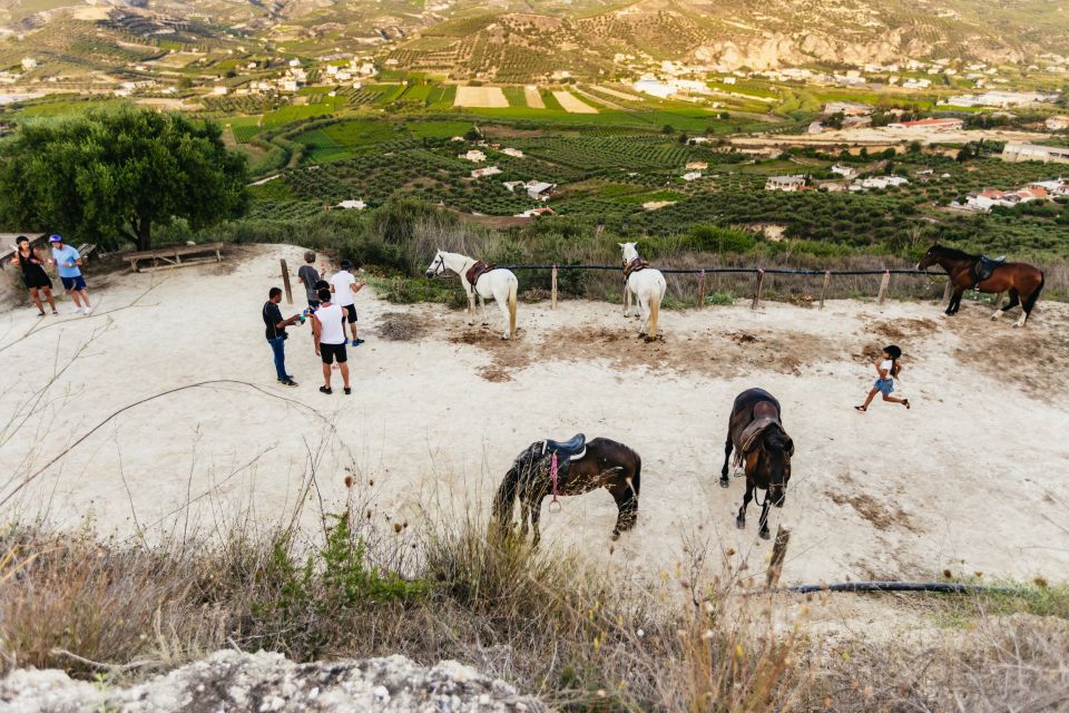 Heraklion: Finikia Horse Riding Tour With Lunch or Dinner - Pickup and Gear Included