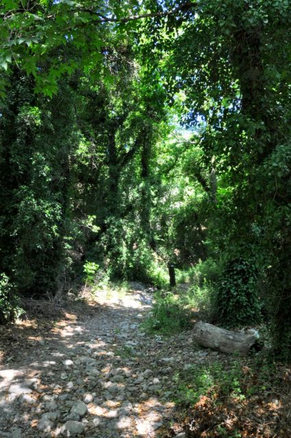 Heraklion: Private Tour to Rihti Waterfalls and Mochlos - Safety and Comfort