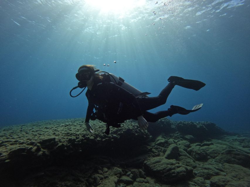 Heraklion: Scuba Diving Trip for Beginners - Marine Environment