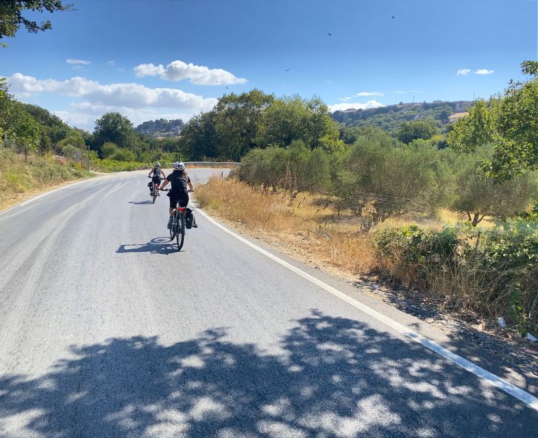 Heraklion: Wine Tasting E-Bike Tour - Exploring Cretes Hinterland