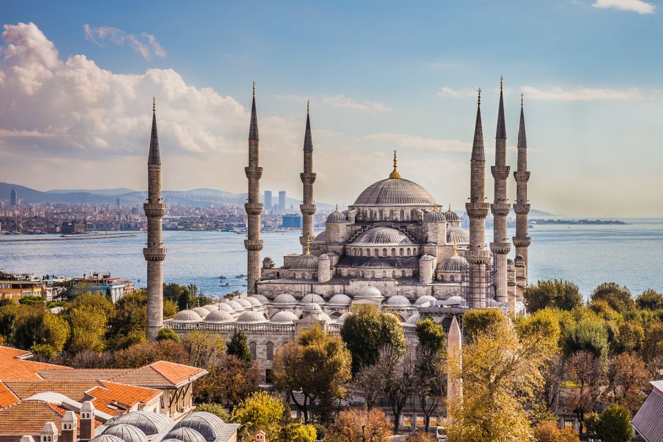 Highlights of Istanbul: Full-Day Tour With Local Lunch - Local Insights