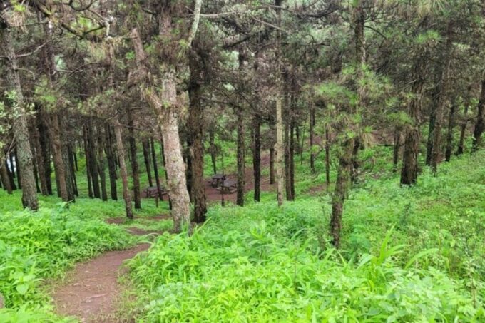 Hike Serra Malagueta / Silver Beach - Customer Reviews