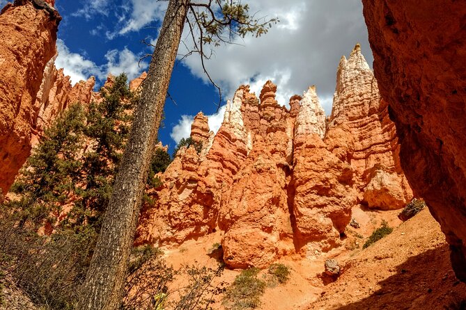 Hiking Experience in Bryce Canyon National Park - What to Expect During the Hike