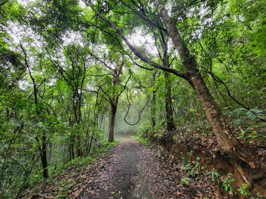 Hiking to Doi Suthep Peak& Delectable Cuisine & Wat Pha Lat. - Pickup and Drop-off Locations