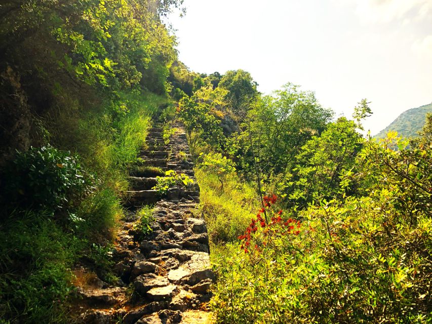 Hiking Tour in Souli Plateau, Kougi and Skala Tzavelena - Meeting Point