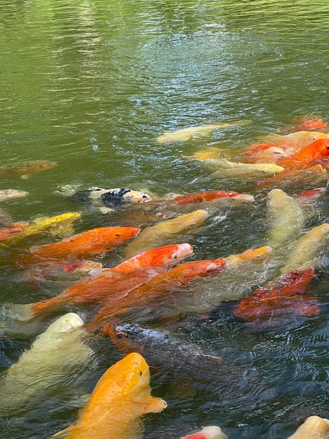 Hiroshima: Discover Hiroshima Private Gem Tour W/Local 4h - Accessibility Features