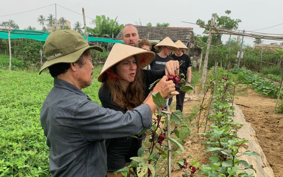 Hoi An Rural Cycling and Cooking at Organic Farm - Culinary Experience