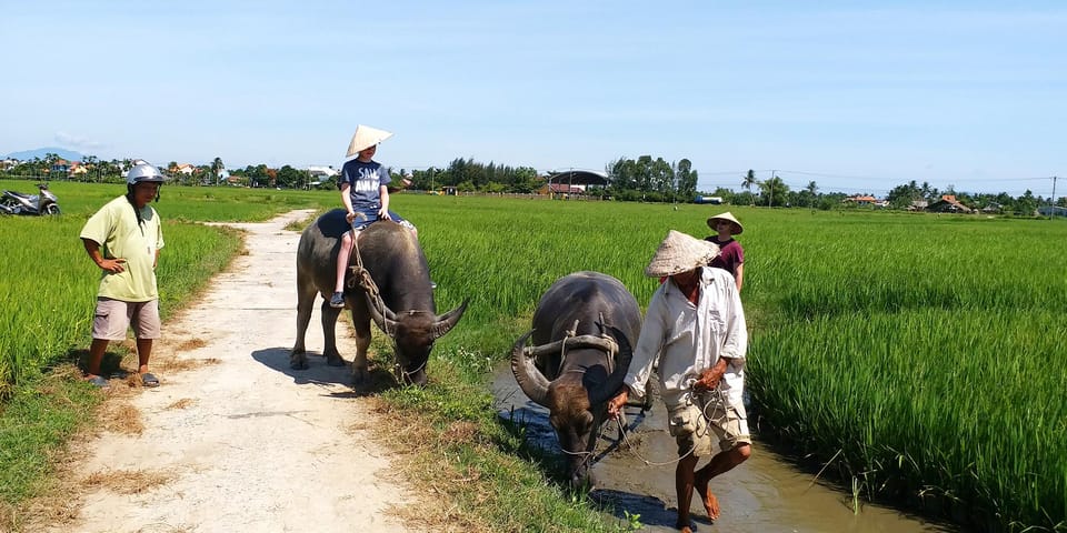 Hoi An:Lattern Making-Be A Real Farmer At Tra Que Village - Cycling and Taste E Water