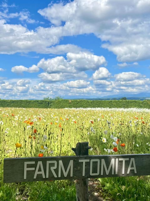 Hokkaido: Biei Furano One-Day Tour (Lunch&Melons Option) - Ningle Terrace Stop