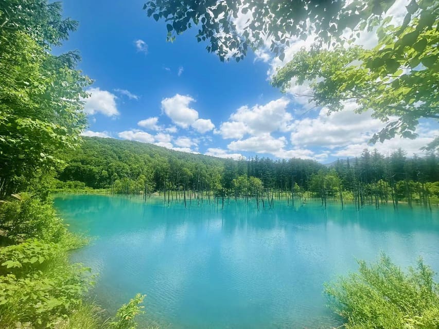 Hokkaido: Flower Sea, Pastoral, and Natural Scenery Day Tour - Booking and Cancellation Policy