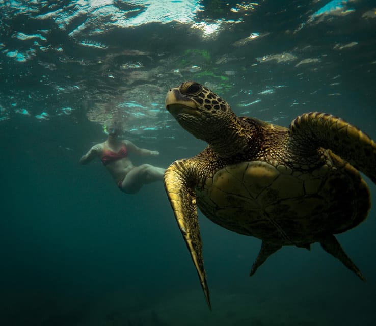 Honolulu: Private Waikiki Boat Cruises for up to 6 People - Frequently Asked Questions