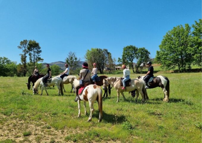 Horse Back Riding + Wine Tasting in the Maures Forest - Meeting Point and Parking
