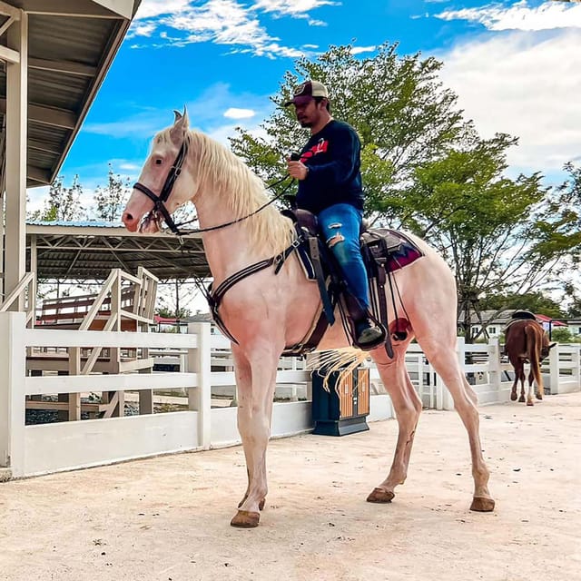 Horse Trail Riding Experience in Bangkok - Meeting Location and Pickup