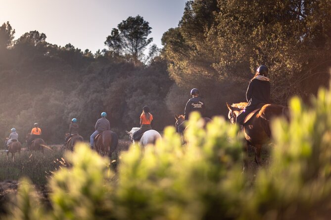 Horseback Riding in Cala Mitjana, Menorca, Spain - Reviews and Ratings