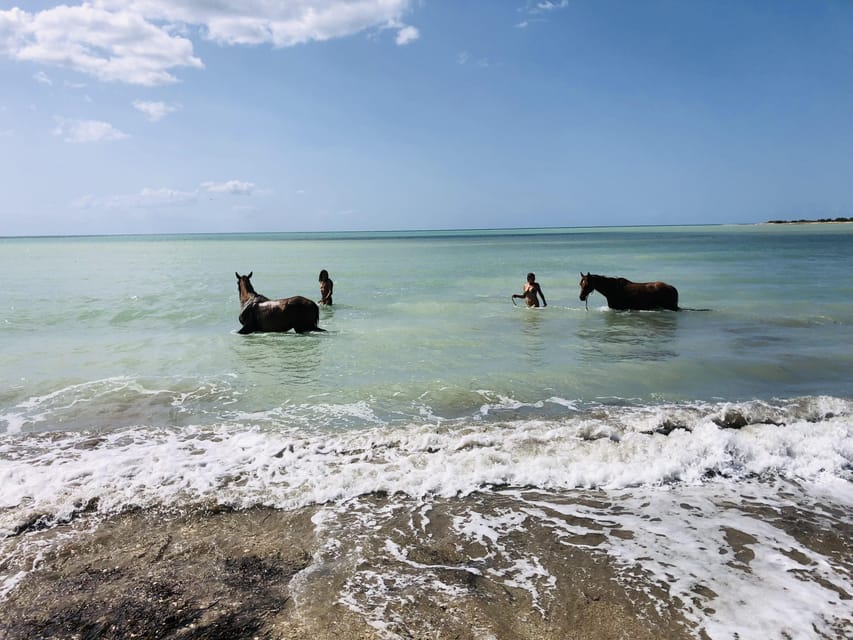 Horseback Riding in the Beaches of Sciacca - Important Information for Participants