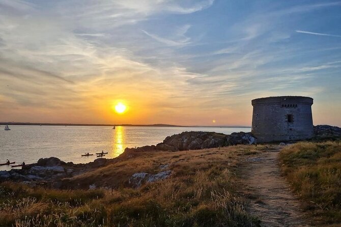 Howth Sunset Cruises - Local Wildlife and Scenery