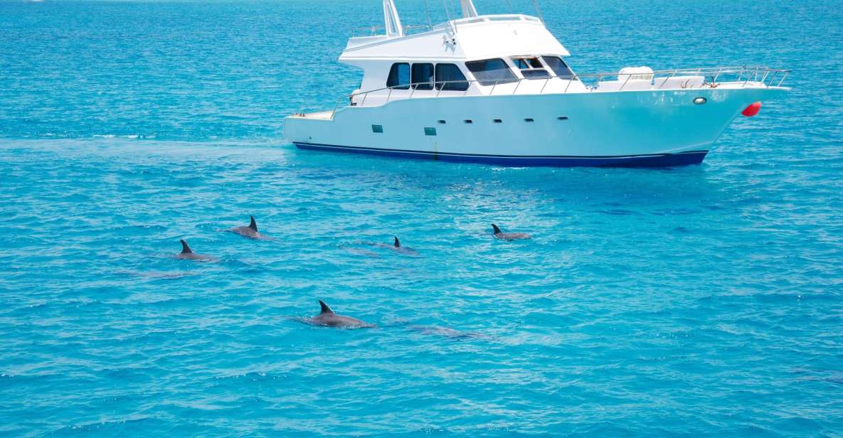 Hurghada: Dolphin Watching Private Yacht & Island Tour - Booking Information