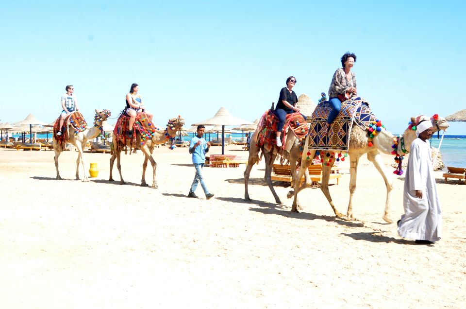 Hurghada: Sea & Desert Camel Ride W/Dinner, Show, Stargazing - Customer Ratings