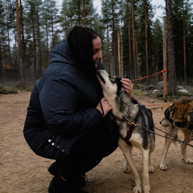 Husky Safari and Guided Tour. Autumn - Frequently Asked Questions